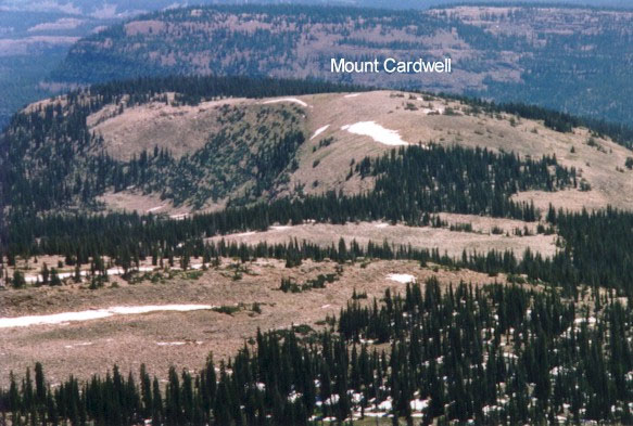 mtcardwell.jpg (113081 bytes)